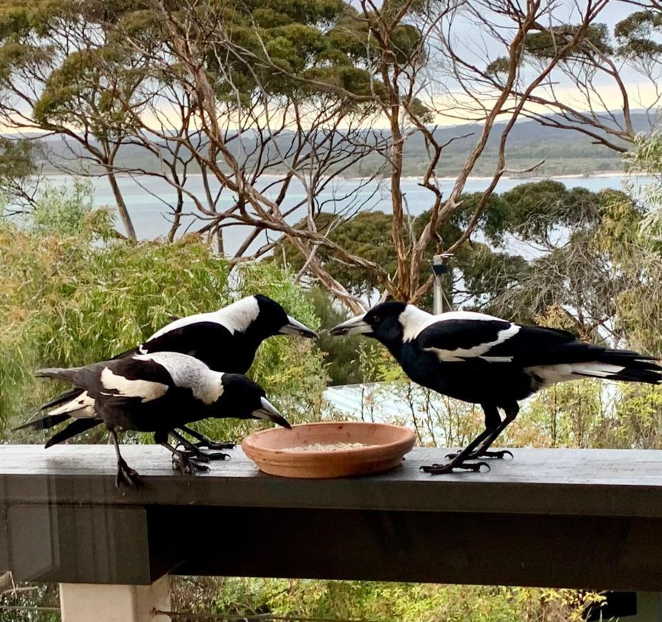 The River Suites, Kangaroo Island American River Экстерьер фото